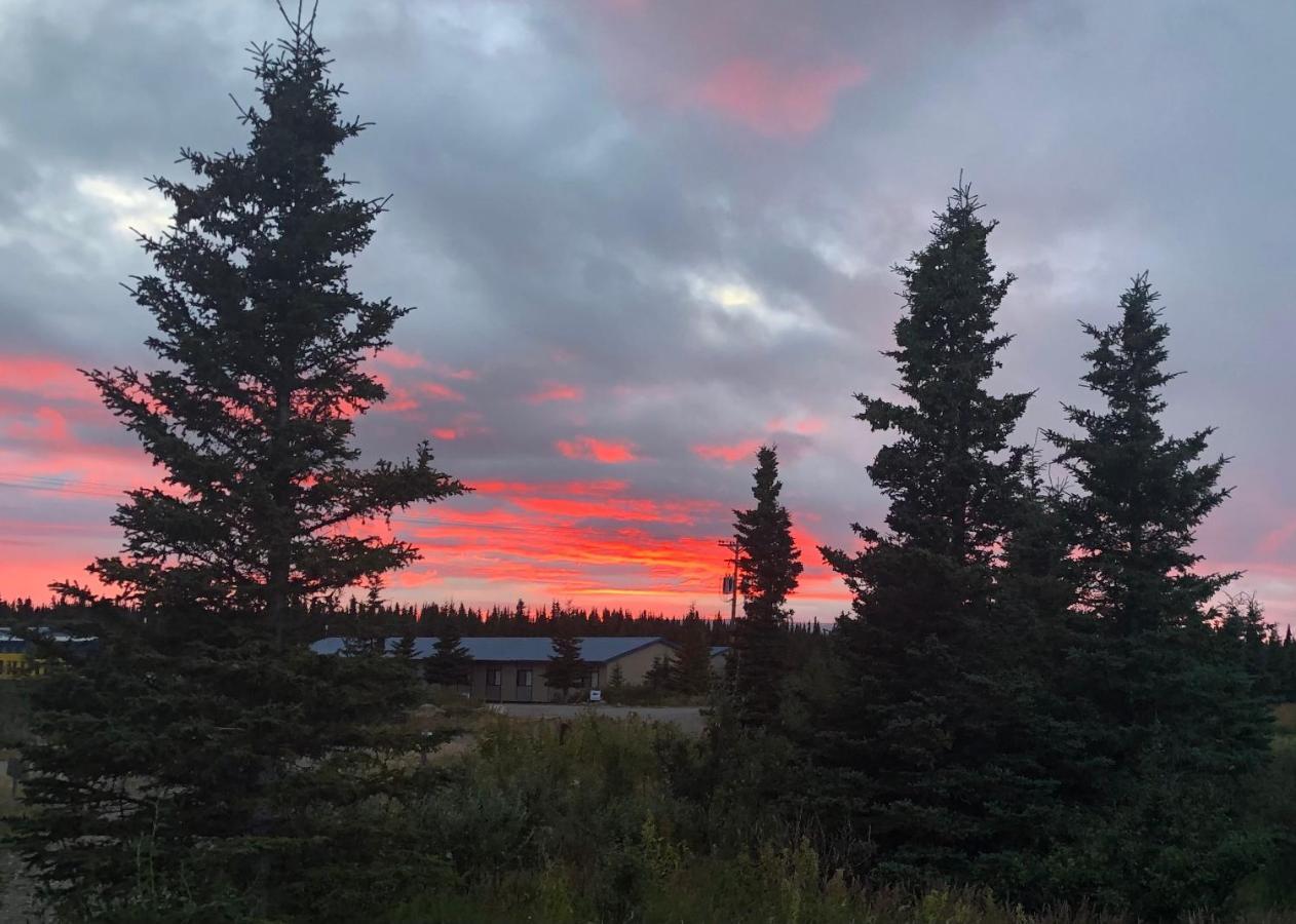 Denali Park Hotel ฮีลี ภายนอก รูปภาพ