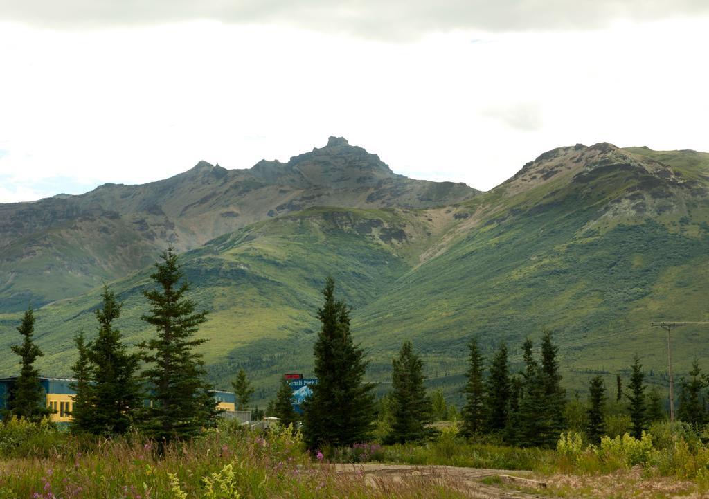 Denali Park Hotel ฮีลี ภายนอก รูปภาพ